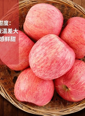 正宗陕西洛川苹果新鲜水果当季整箱红富士冰糖心10斤脆甜大果85mm
