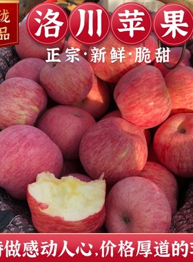 洛川苹果水果陕西正宗10斤延安精品红富士苹果新鲜冰糖心一级大果
