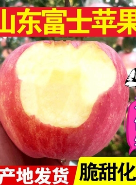 新鲜水果山东红富士苹果整箱精选大果脆甜苹果圣诞平安果
