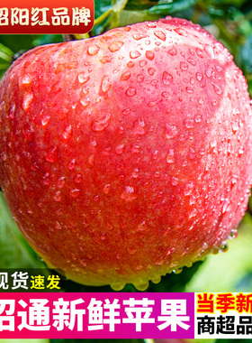 【香甜】昭通冰糖心红露苹果新鲜水果红富士丑平果大果甜10斤