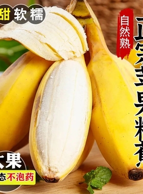 正宗广西苹果蕉香蕉新鲜10斤自然熟大果应季水果现摘皇帝蕉粉蕉绿