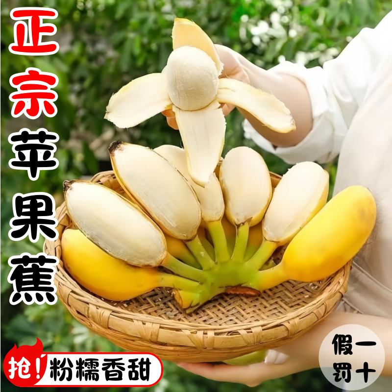 正宗苹果蕉当季新鲜水果香蕉整箱9斤大果自然熟小米蕉绿芭蕉心粉