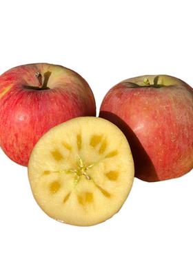 正宗新疆阿克苏冰糖心苹果大果新鲜水果应当季丑苹果脆甜整箱10斤