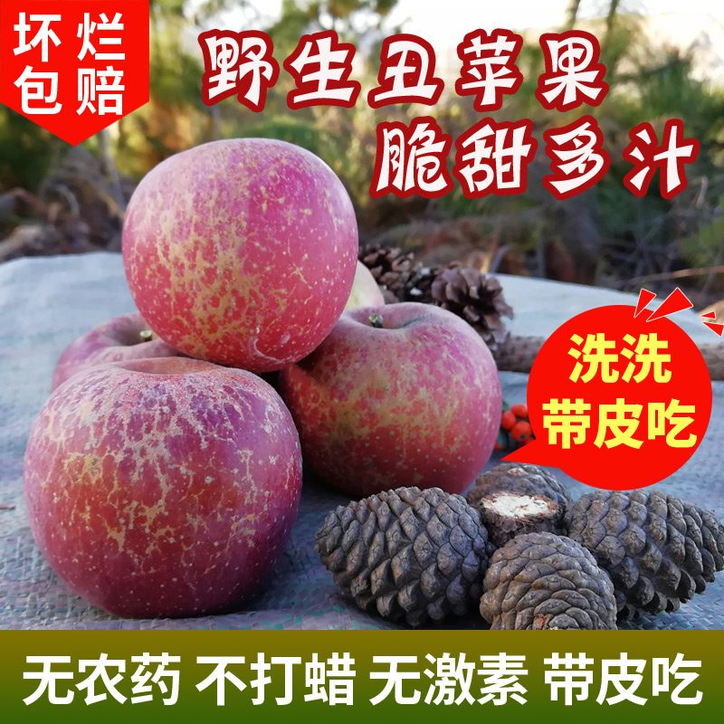树尖稀有大果云南昭通野生丑苹果冰糖心脆甜当季孕妇新鲜水果10斤