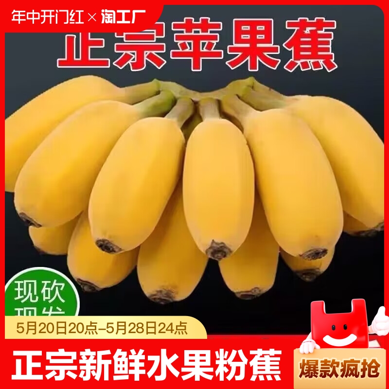 正宗苹果蕉大果 香蕉新鲜5斤自然熟当季整箱水果粉蕉小米芭蕉香焦