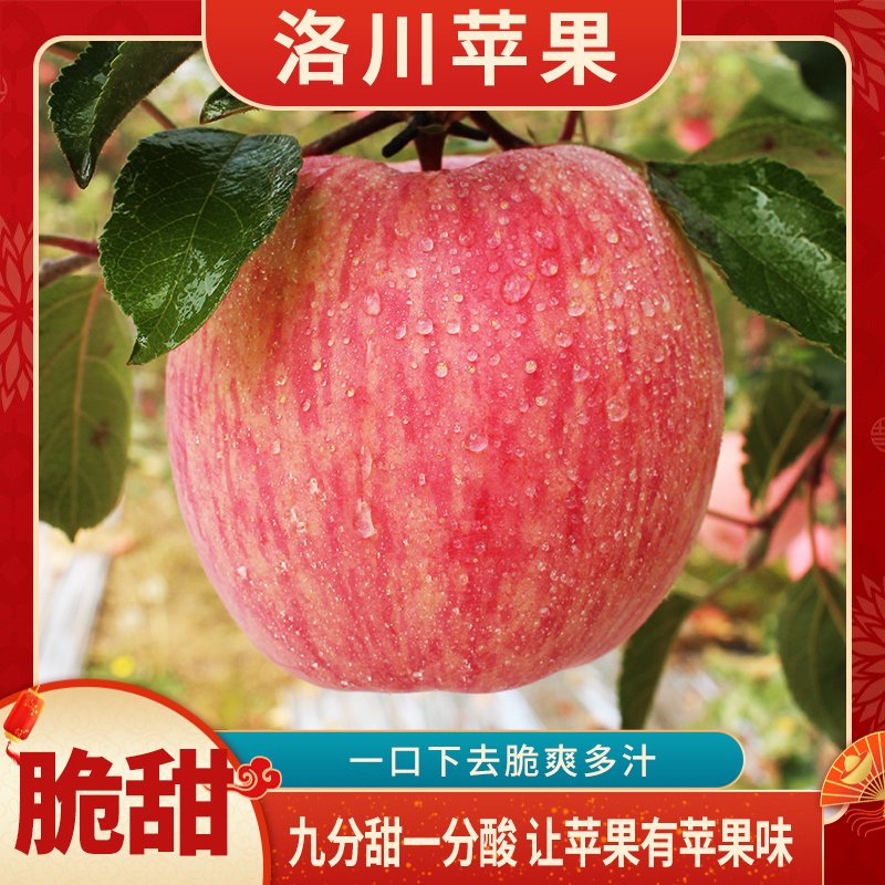 正宗洛川红富士苹果6枚大果试吃装水果新鲜脆甜冰糖苹果
