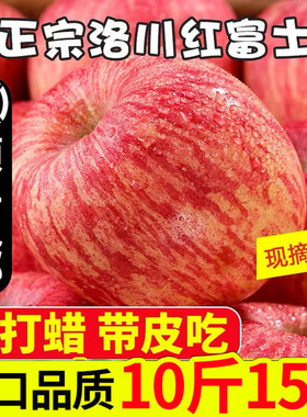 正宗洛川红富士冰糖心水果苹果10斤新鲜现摘大果脆甜多汁应季