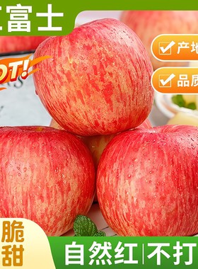 正宗山东红富士苹果脆甜栖霞丑苹果新鲜当季孕妇水果特级大果整箱