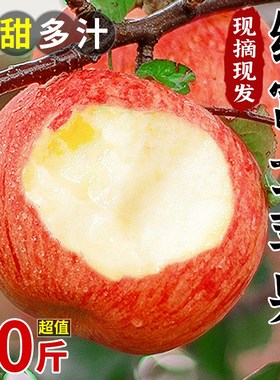 冰糖斤新鲜红富士水果心丑苹果陕西平果季大果应当孕妇脆甜10