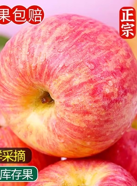 山西红富士苹果水果新鲜脆甜整箱10嘎啦冰糖心包邮斤尝鲜大果精选