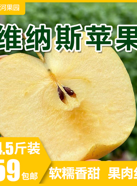 【已下架】山东烟台维纳斯黄金苹果黄胖子新鲜水果大果礼盒5包邮