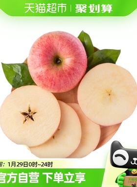 山东烟台栖霞红富士苹果5kg一级大果单果190-240g生鲜水果 包邮