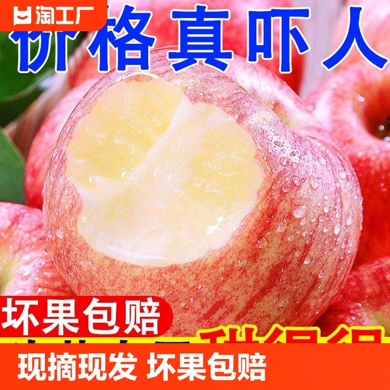 正宗山东红富士苹果新鲜水果当季整箱萍果脆甜10丑平果直发大果