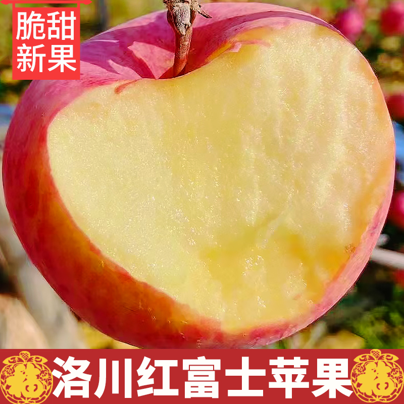 陕西洛川苹果正宗皮薄脆甜红富士延安新鲜大果水果整箱产地直发