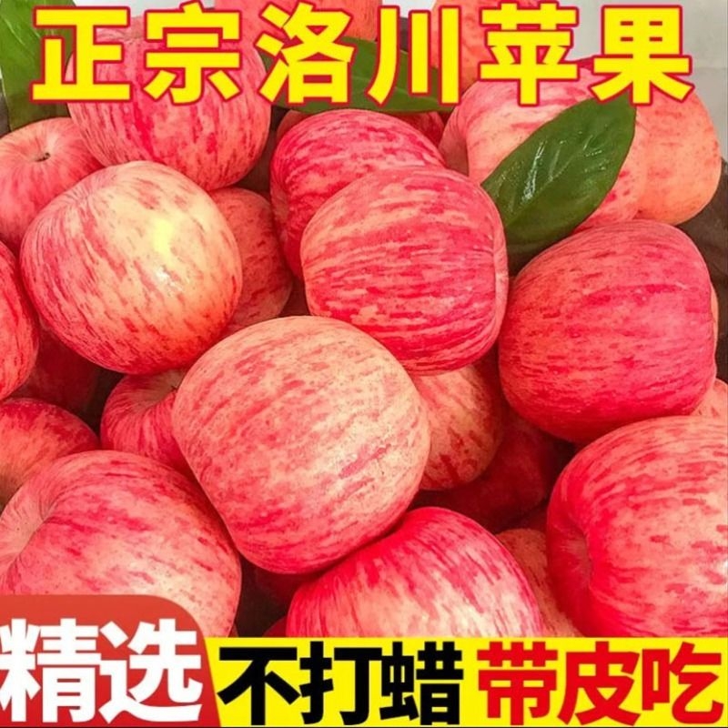 正宗洛川苹果脆甜陕西红富士苹果当季新鲜水果一整箱9斤一级大果