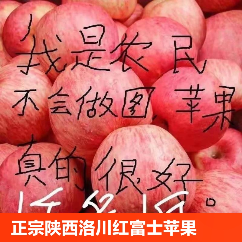 正宗陕西洛川红富士苹果冰糖心脆甜新鲜水果精选大果现发9斤10斤