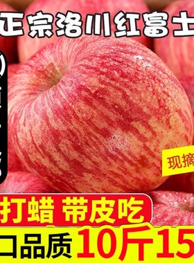 陕西洛川红富士冰糖心水果苹果10斤新鲜现摘大果脆甜多汁应季