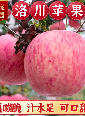 洛川苹果水果陕西正宗10斤延安精品红富士苹果新鲜冰糖心一级大果