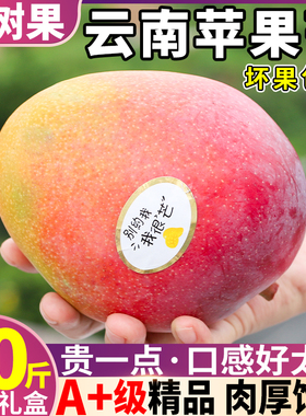 精品大果 10斤云南苹果芒新鲜芒果应当季水果整箱树上熟香甜青芒5