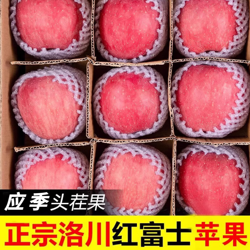 苹果水果新鲜陕西延安正宗洛川红富士苹果脆甜多汁24枚装一级大果