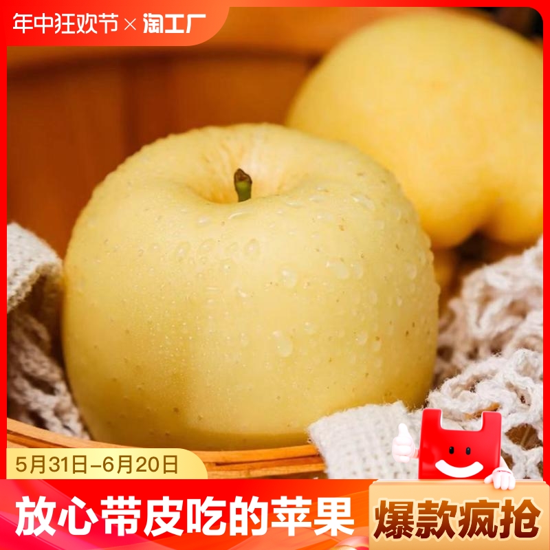 山东黄金维纳斯苹果3斤/5斤大果新鲜脆甜多汁应季水果现摘现发
