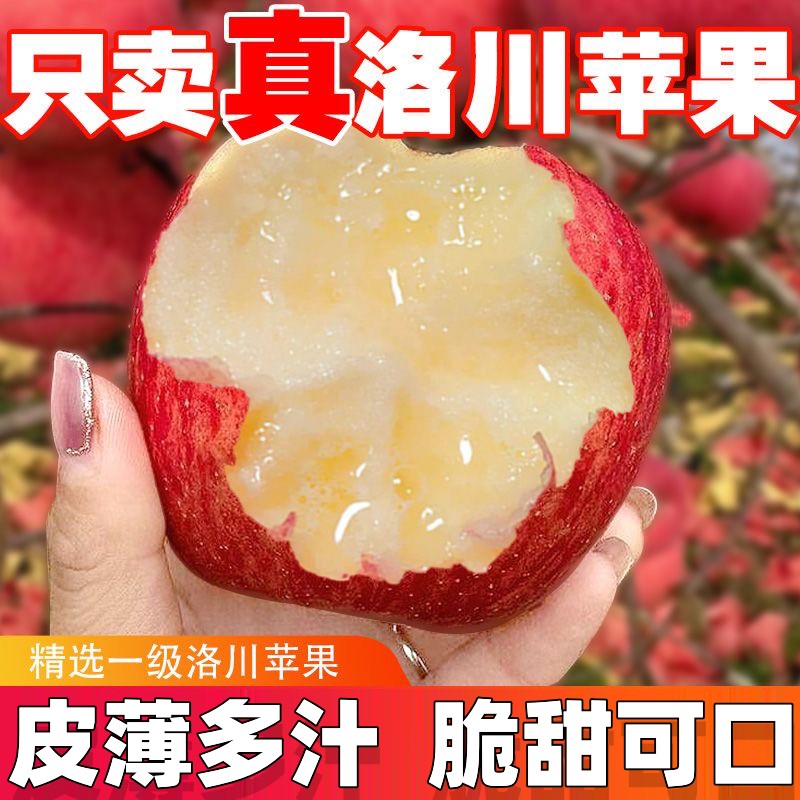 【主播强烈推荐】正宗陕西洛川红富士苹果水果一级新鲜优选大果