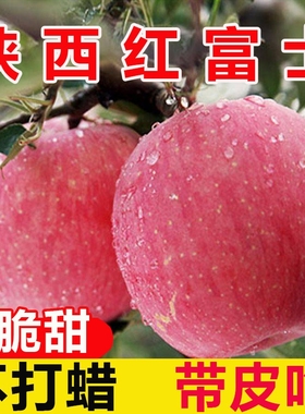 正宗陕西红富士苹果水果新鲜脆甜冰糖心10斤整箱当季平果大果一级