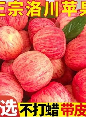 正宗洛川苹果脆甜陕西红富士苹果当季新鲜水果一整箱9斤一级大果