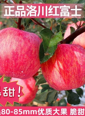 【主播强烈推荐】正宗陕西洛川红富士苹果水果一级新鲜优选大果