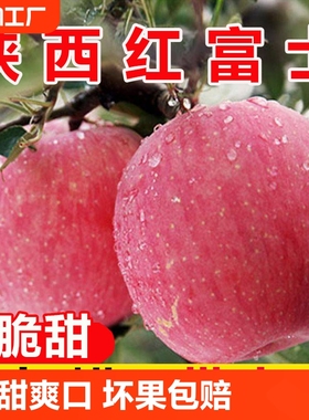 陕西红富士苹果水果新鲜脆甜冰糖心10斤整箱当季平果自提一级大果