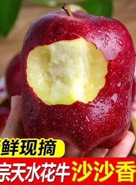 天水红星苹果花牛华牛高山甘肃特产水果2023年新果特级精选大果5J