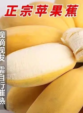 广西正宗苹果蕉粉蕉当季大果实惠价香甜粉糯苹果粉蕉蛋蕉