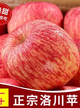 苹果新鲜正宗洛川陕西精品红富士当季水果冰糖心脆甜大果10斤整箱