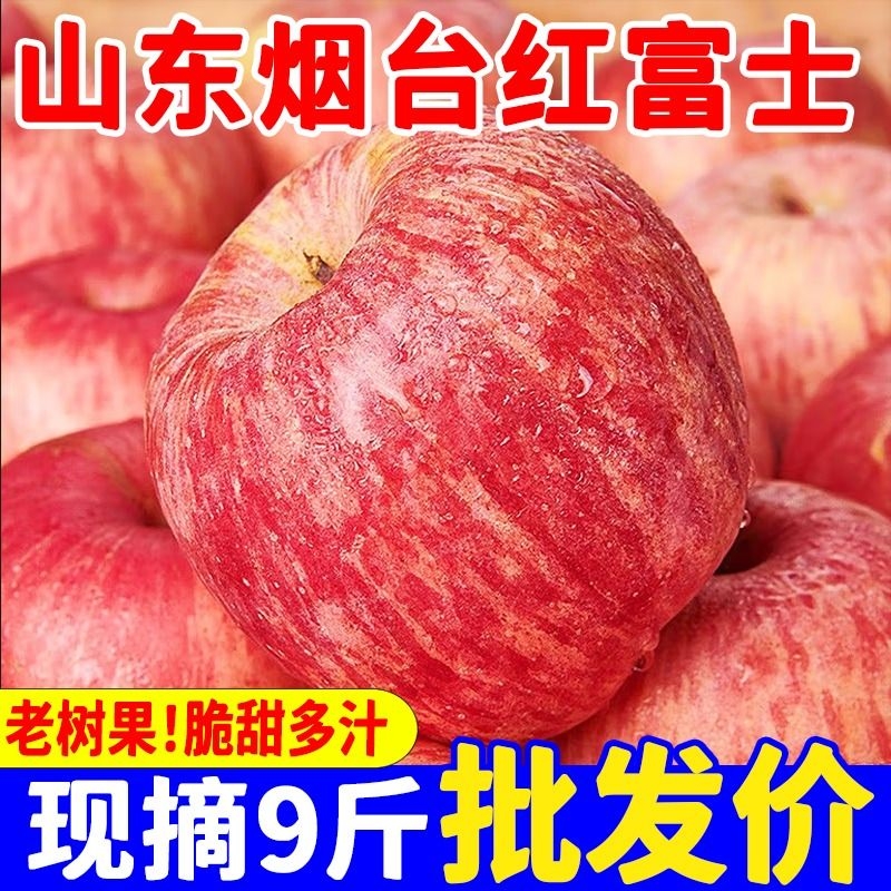 山东烟台红富士苹果苹果当季新鲜水果脆甜丑栖霞苹果整箱精选大果