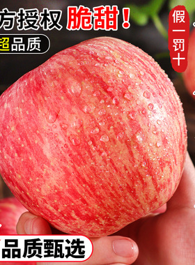 【特级】山东烟台栖霞红富士大果苹果水果新鲜当季整箱正宗礼盒