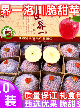 现货世界一洛川苹果10斤礼盒装大果红富士冰糖心脆甜多汁新鲜水果