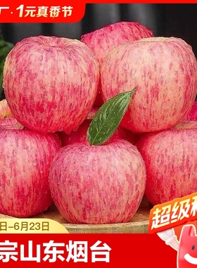 正宗山东烟台红富士苹果冰糖心脆甜新鲜水果精选大果现摘现发9斤