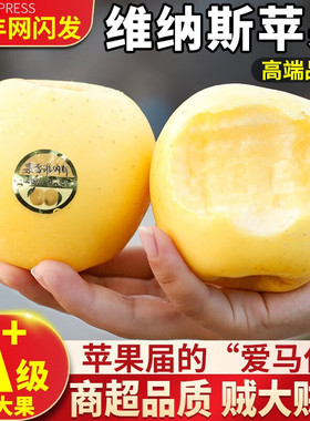【顺丰包邮】黄金维纳斯苹果脆甜多汁4斤新鲜大果黄金维苹果水果