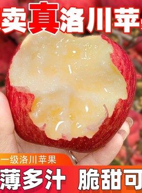 【香菇姐姐推荐】正宗陕西洛川红富士苹果水果一级新鲜优选大果