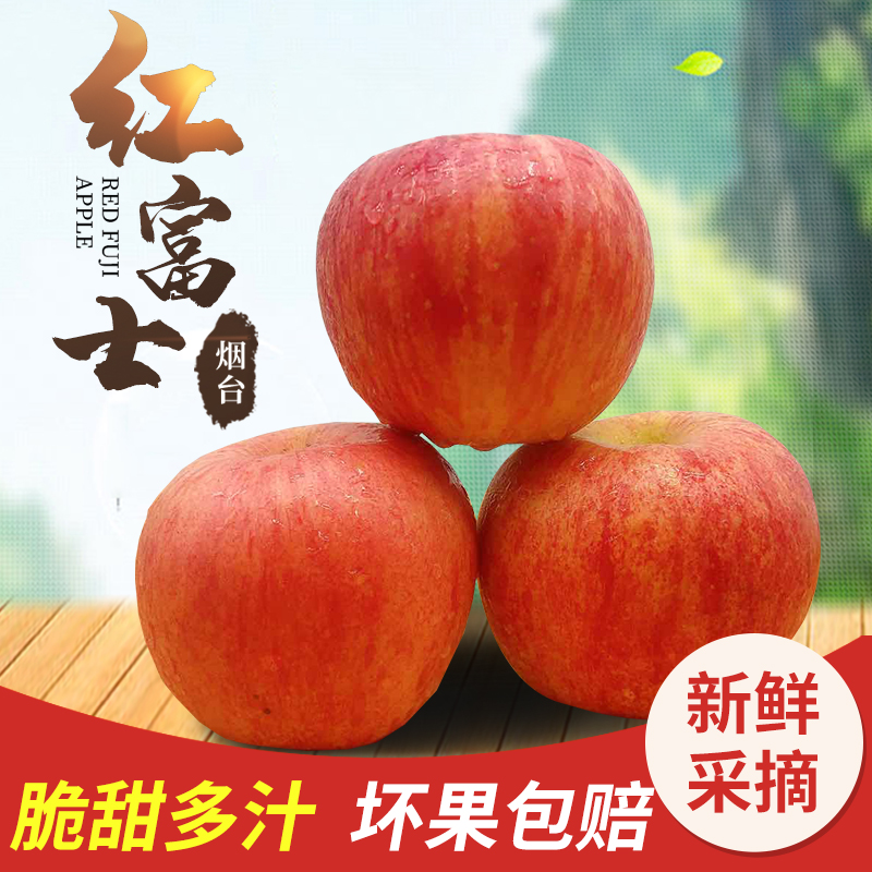 烟台新鲜红富士苹果 大果 带皮吃 脆甜水果 现摘现发5斤10斤