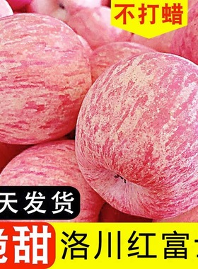 正宗陕西洛川正宗红富士苹果新鲜水果冰糖心脆甜当季一级大果9斤