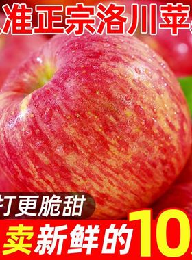 正宗洛川红富士冰糖心苹果10斤新鲜应季水果现摘大果脆甜多汁