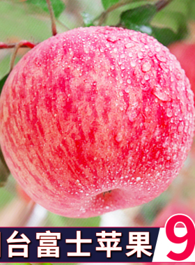 山东烟台红富士苹果10应当季斤新鲜水果整箱栖霞脆甜冰糖心丑平果