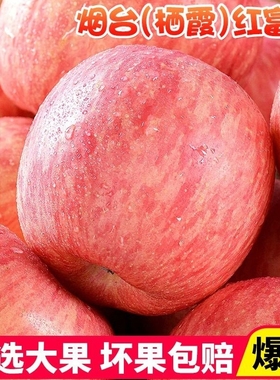 烟台红富士苹果水果10斤当季整箱正宗山东栖霞新鲜水果苹果包邮