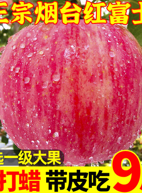 烟台红富士苹果10斤水果新鲜应当季栖霞丑平萍果一级脆甜整箱包邮
