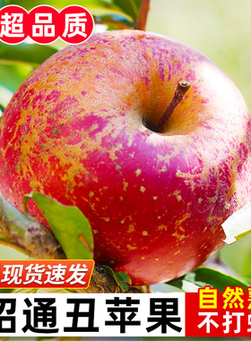 云南昭通丑苹果新鲜水果当季整箱9斤冰糖心红富士脆甜大果10