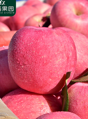 【甜！脆！好吃】正宗山东烟台红富士苹果3斤5斤带箱10斤应季水果