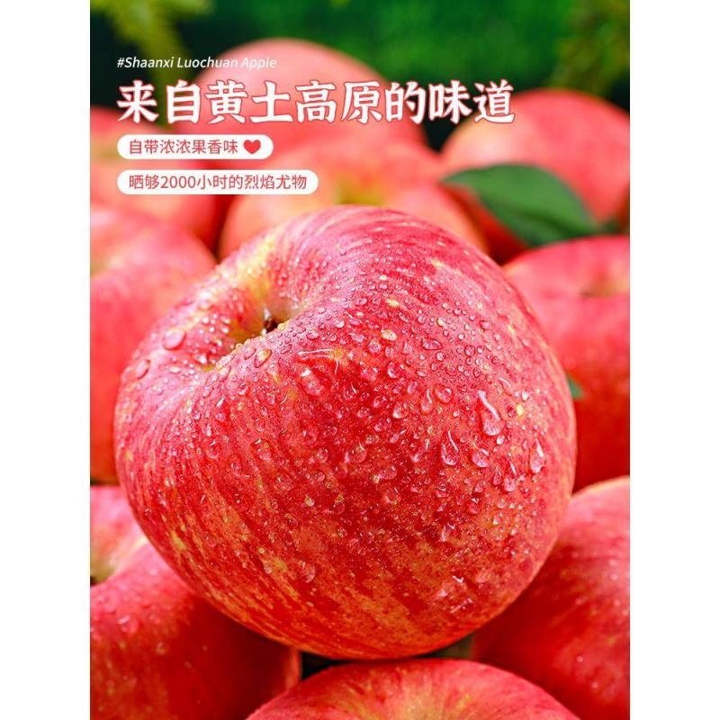 正宗陕西洛川苹果水果当季新鲜整箱红富士冰糖心脆甜10斤包邮大果