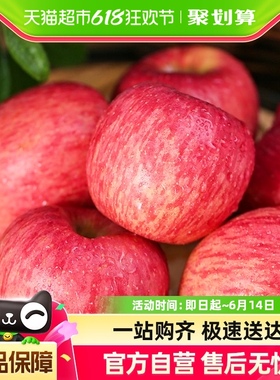 陕西洛川苹果丑苹果冰糖心苹果10斤装新鲜水果脆甜红富士顺丰包邮