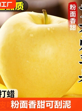正宗烟台苹果黄元帅新鲜9斤水果整箱粉面黄苹果10直发现摘产地